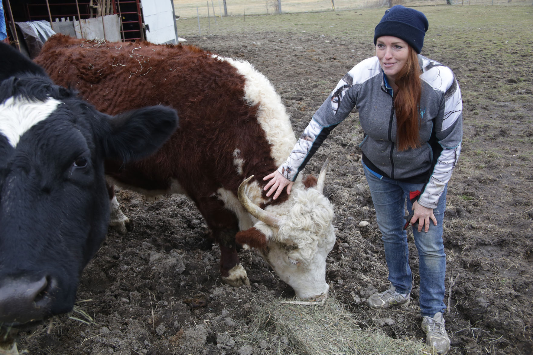 Erin's Farm animal sanctuary
